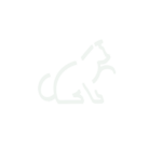 icono gato