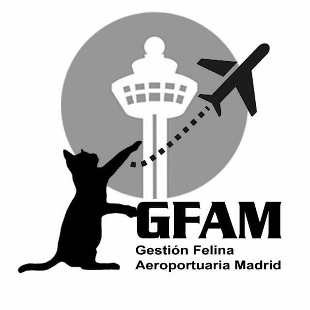 logo GFAM