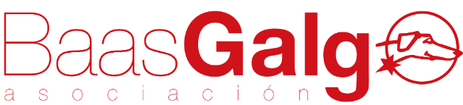 logo-baasgalgo