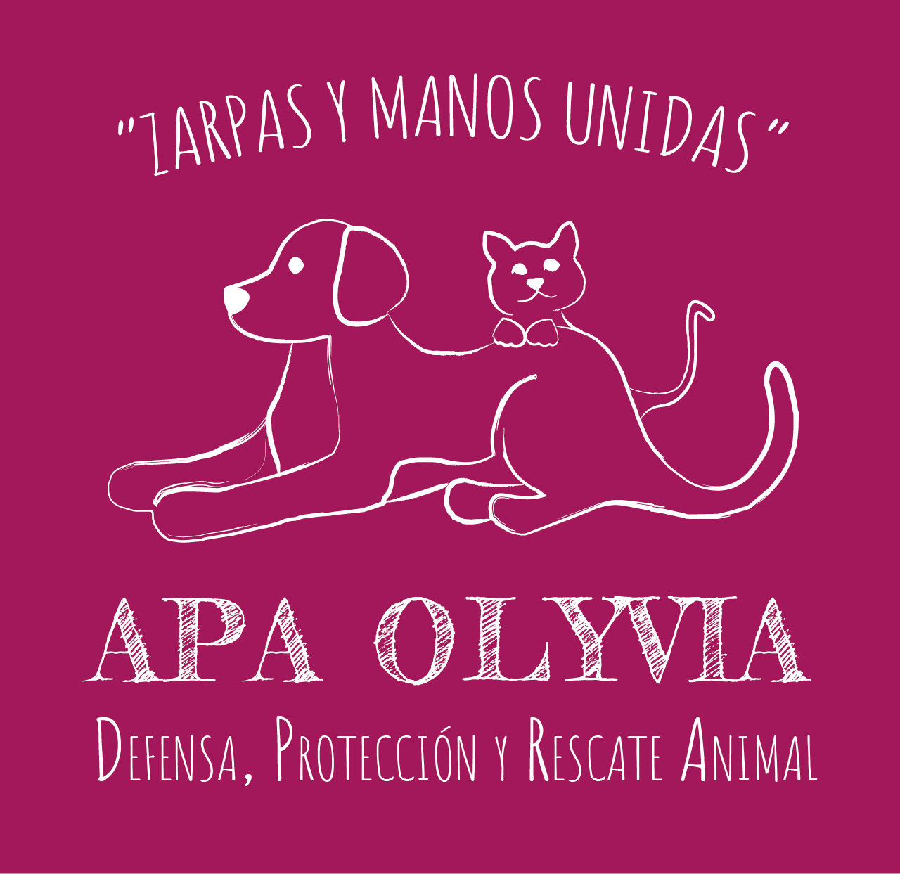 logotipo apa olyvia asociación villa pepa
