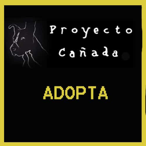 proyecto cañada